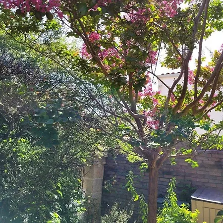 La Madeleine - Maison De Moderne - Terrasse לה רושל